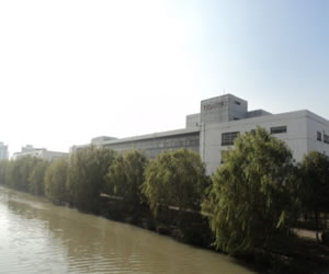 公司环境